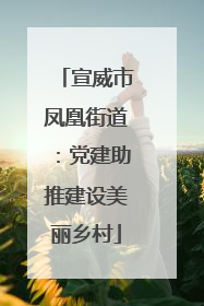 宣威市凤凰街道：党建助推建设美丽乡村
