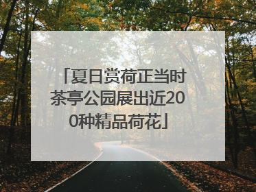 夏日赏荷正当时 茶亭公园展出近200种精品荷花
