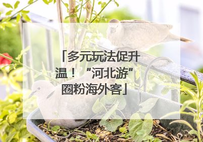 多元玩法促升温！“河北游”圈粉海外客