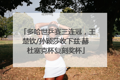 多哈世乒赛三连冠，王楚钦/孙颖莎收下兹·赫杜塞克杯复刻奖杯