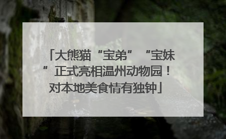大熊猫“宝弟”“宝妹”正式亮相温州动物园！对本地美食情有独钟