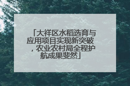 大祥区水稻选育与应用项目实现新突破，农业农村局全程护航成果斐然
