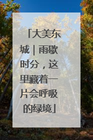大美东城｜雨歇时分，这里藏着一片会呼吸的绿境