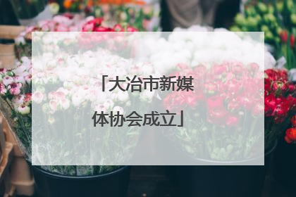 大冶市新媒体协会成立