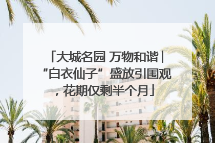 大城名园 万物和谐│“白衣仙子”盛放引围观，花期仅剩半个月