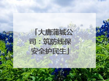 大唐蒲城公司：筑防线保安全护民生