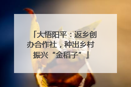 大悟阳平：返乡创办合作社，种出乡村振兴“金稻子”