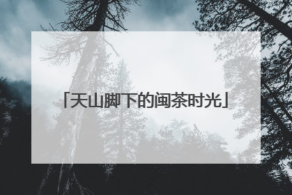 天山脚下的闽茶时光