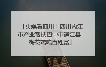 央媒看四川丨四川内江市产业帮扶巴中市通江县 梅花鸡鸣百姓富