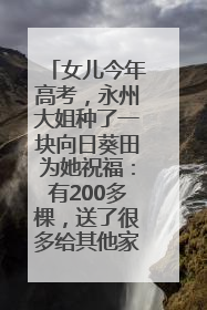 女儿今年高考，永州大姐种了一块向日葵田为她祝福：有200多棵，送了很多给其他家长