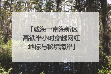 威海→南海新区 高铁半小时穿越网红地标与秘境海岸