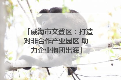 威海市文登区：打造对非合作产业园区 助力企业抱团出海