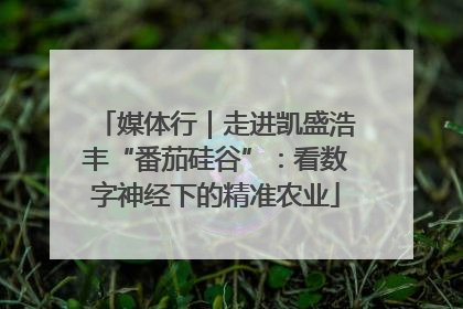 媒体行｜走进凯盛浩丰“番茄硅谷”：看数字神经下的精准农业