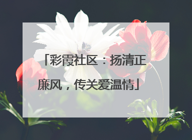 彩霞社区：扬清正廉风，传关爱温情