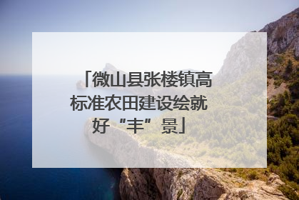 微山县张楼镇高标准农田建设绘就好“丰”景