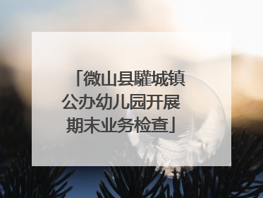 微山县驩城镇公办幼儿园开展期末业务检查
