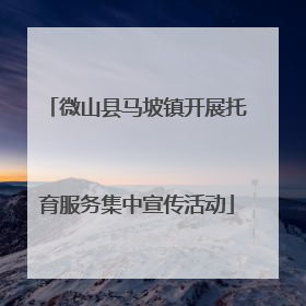 微山县马坡镇开展托育服务集中宣传活动