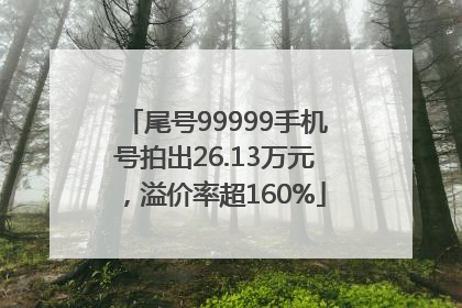 尾号99999手机号拍出26.13万元，溢价率超160%