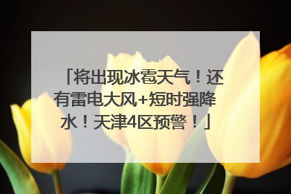 将出现冰雹天气！还有雷电大风+短时强降水！天津4区预警！