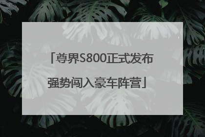 尊界S800正式发布 强势闯入豪车阵营