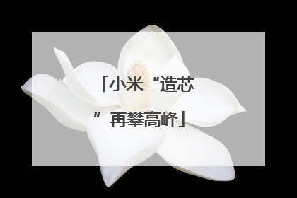 小米“造芯”再攀高峰