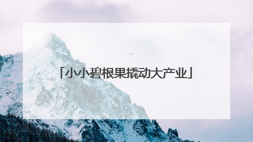 小小碧根果撬动大产业