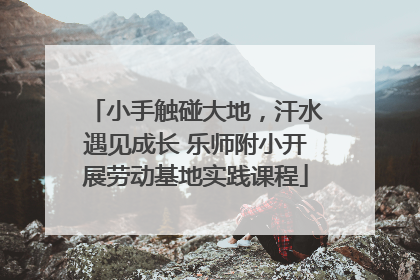 小手触碰大地，汗水遇见成长 乐师附小开展劳动基地实践课程