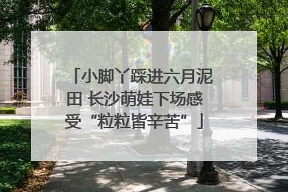 小脚丫踩进六月泥田 长沙萌娃下场感受“粒粒皆辛苦”