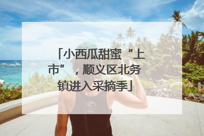 小西瓜甜蜜“上市”，顺义区北务镇进入采摘季