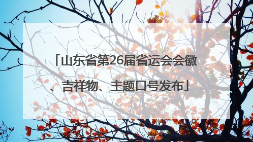 山东省第26届省运会会徽、吉祥物、主题口号发布
