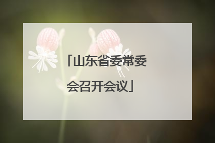 山东省委常委会召开会议