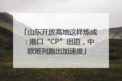 山东开放高地这样炼成：港口“CP”出道，中欧班列跑出加速度