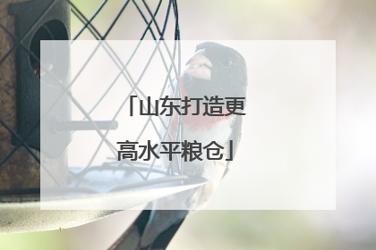 山东打造更高水平粮仓