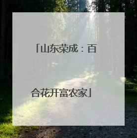 山东荣成：百合花开富农家
