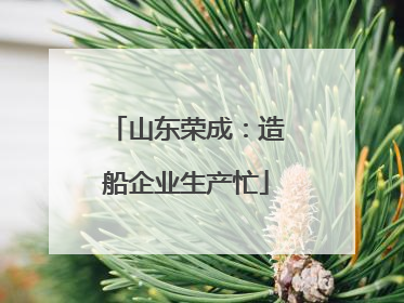 山东荣成：造船企业生产忙