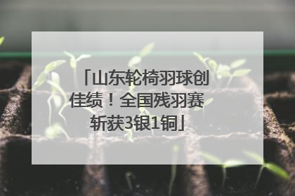 山东轮椅羽球创佳绩！全国残羽赛斩获3银1铜