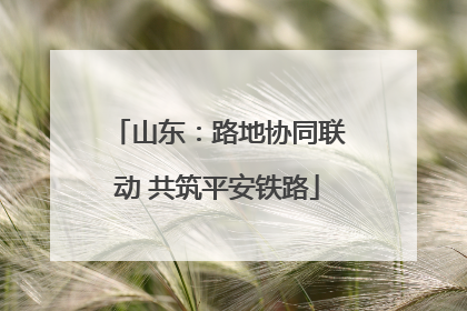 山东：路地协同联动 共筑平安铁路