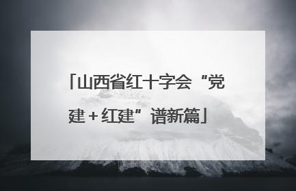 山西省红十字会“党建＋红建”谱新篇