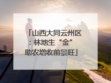 山西大同云州区：林地生“金” 助农增收前景旺