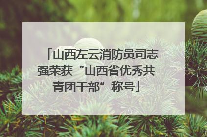 山西左云消防员司志强荣获“山西省优秀共青团干部”称号
