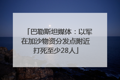 巴勒斯坦媒体：以军在加沙物资分发点附近打死至少28人