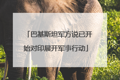 巴基斯坦军方说已开始对印展开军事行动