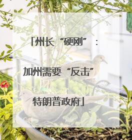 州长“硬刚”：加州需要“反击”特朗普政府
