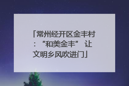 常州经开区金丰村：“和美金丰” 让文明乡风吹进门