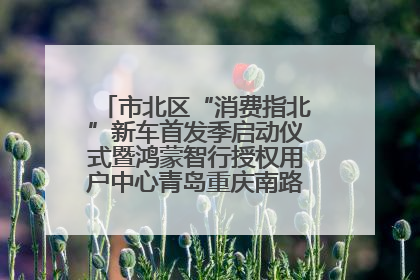 市北区“消费指北”新车首发季启动仪式暨鸿蒙智行授权用户中心青岛重庆南路开业盛典成功举办