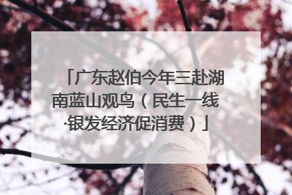 广东赵伯今年三赴湖南蓝山观鸟（民生一线·银发经济促消费）