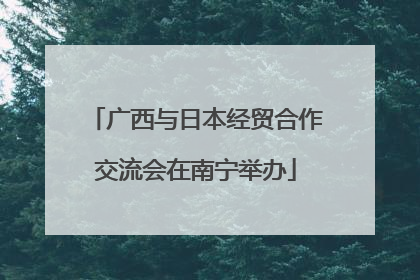广西与日本经贸合作交流会在南宁举办