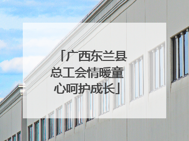 广西东兰县总工会情暖童心呵护成长