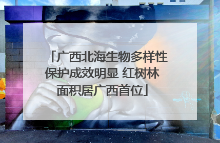广西北海生物多样性保护成效明显 红树林面积居广西首位
