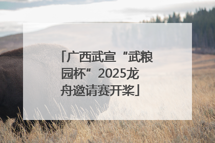 广西武宣“武粮园杯”2025龙舟邀请赛开桨